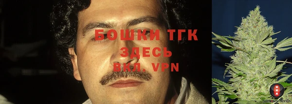 гидра Няндома