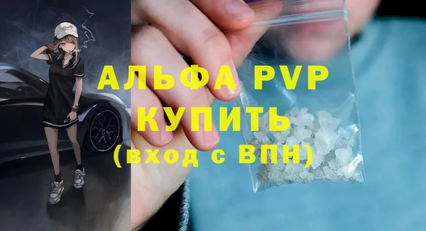 гидра Няндома