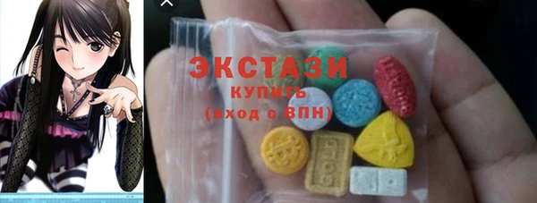 гидра Няндома