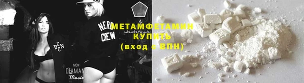 гидра Няндома