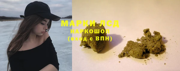 каннабис Новозыбков