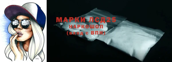 гидра Няндома