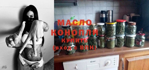 гидра Няндома