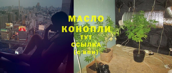 гидра Няндома
