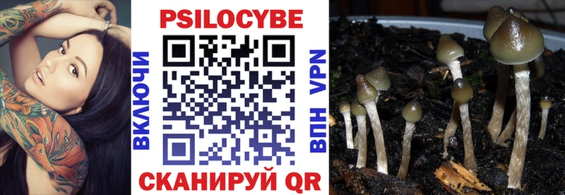 Псилоцибиновые грибы мухоморы  даркнет как зайти  Алапаевск 