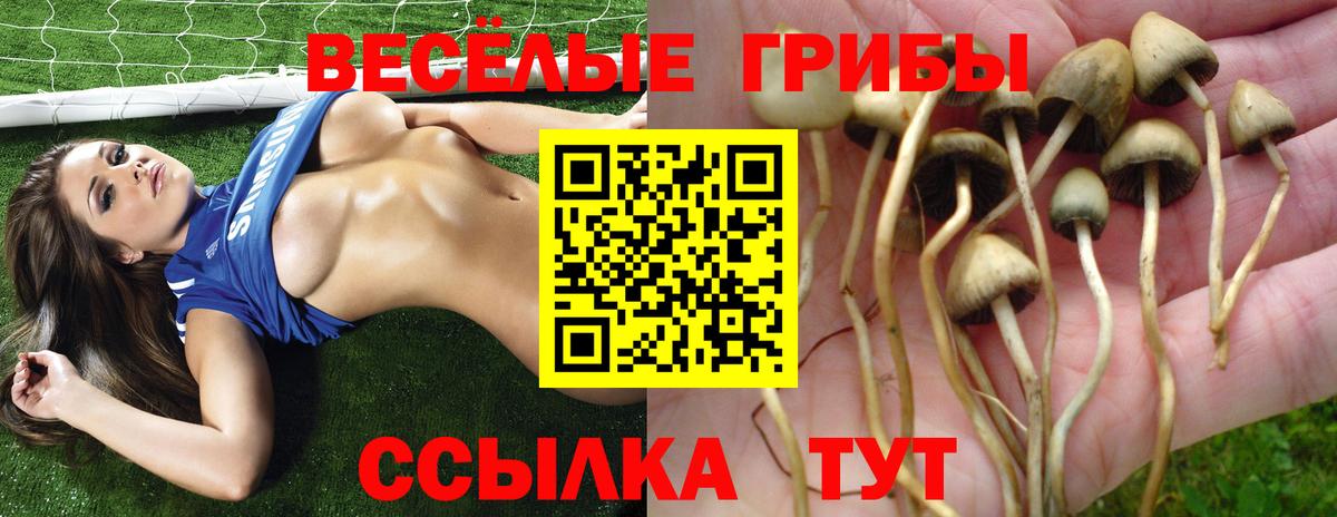 Псилоцибиновые грибы GOLDEN TEACHER  Галлюциногенные грибы прущие грибы  Алапаевск 