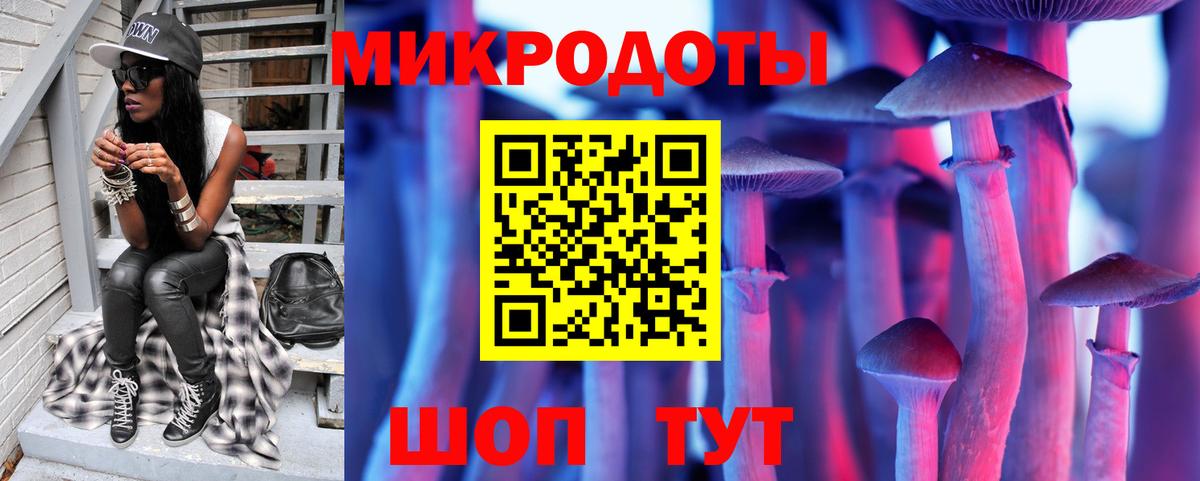 Алапаевск  Галлюциногенные грибы прущие грибы  Вход с VPN  Псилоцибиновые грибы Psilocybe 